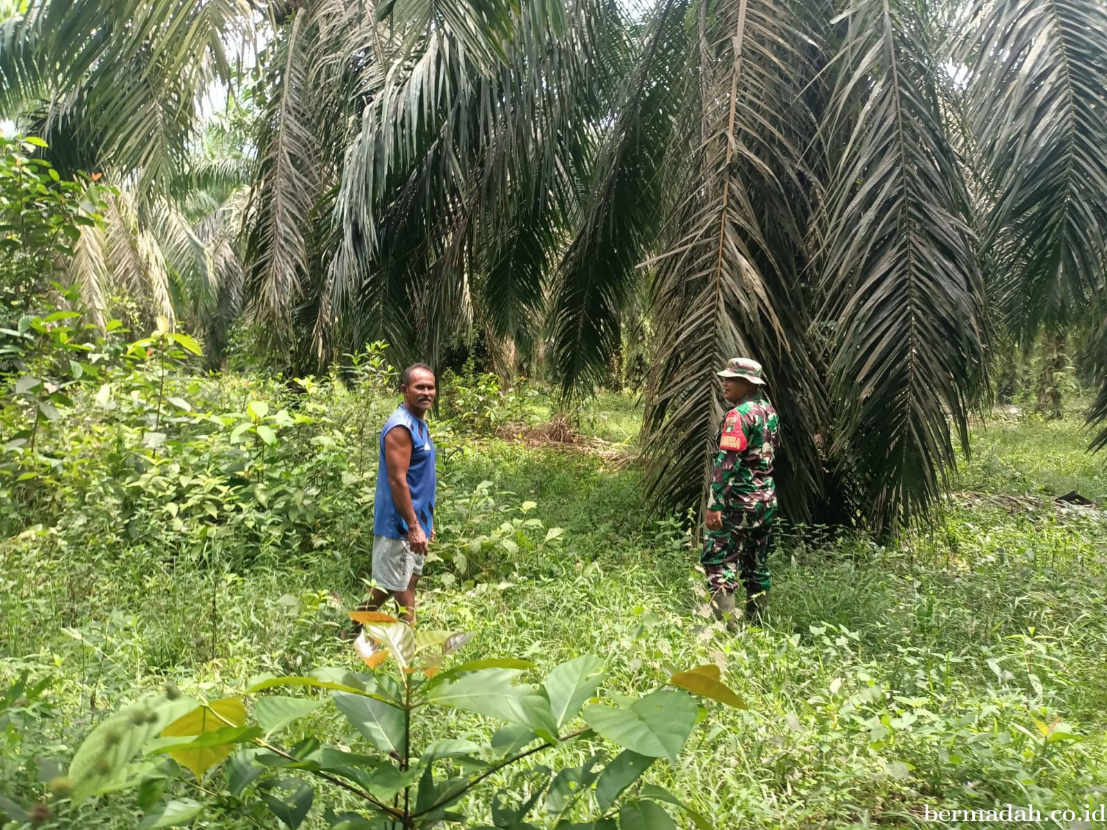 Penanggulangan Karhutla di Wilayah Koramil 02/Sungai Apit, Minggu 28 Desember