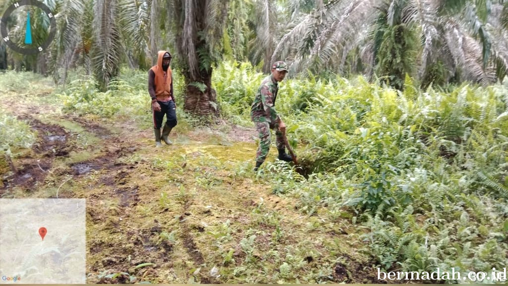 Penanggulangan Karhutla di Wilayah Koramil 02/Sungai Apit, Senin 29 Desember