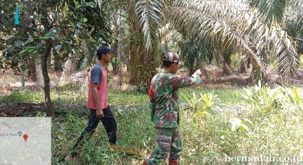 Penanggulangan Karhutla di Wilayah Koramil 02/Sungai Apit, Sabtu 3 Januari