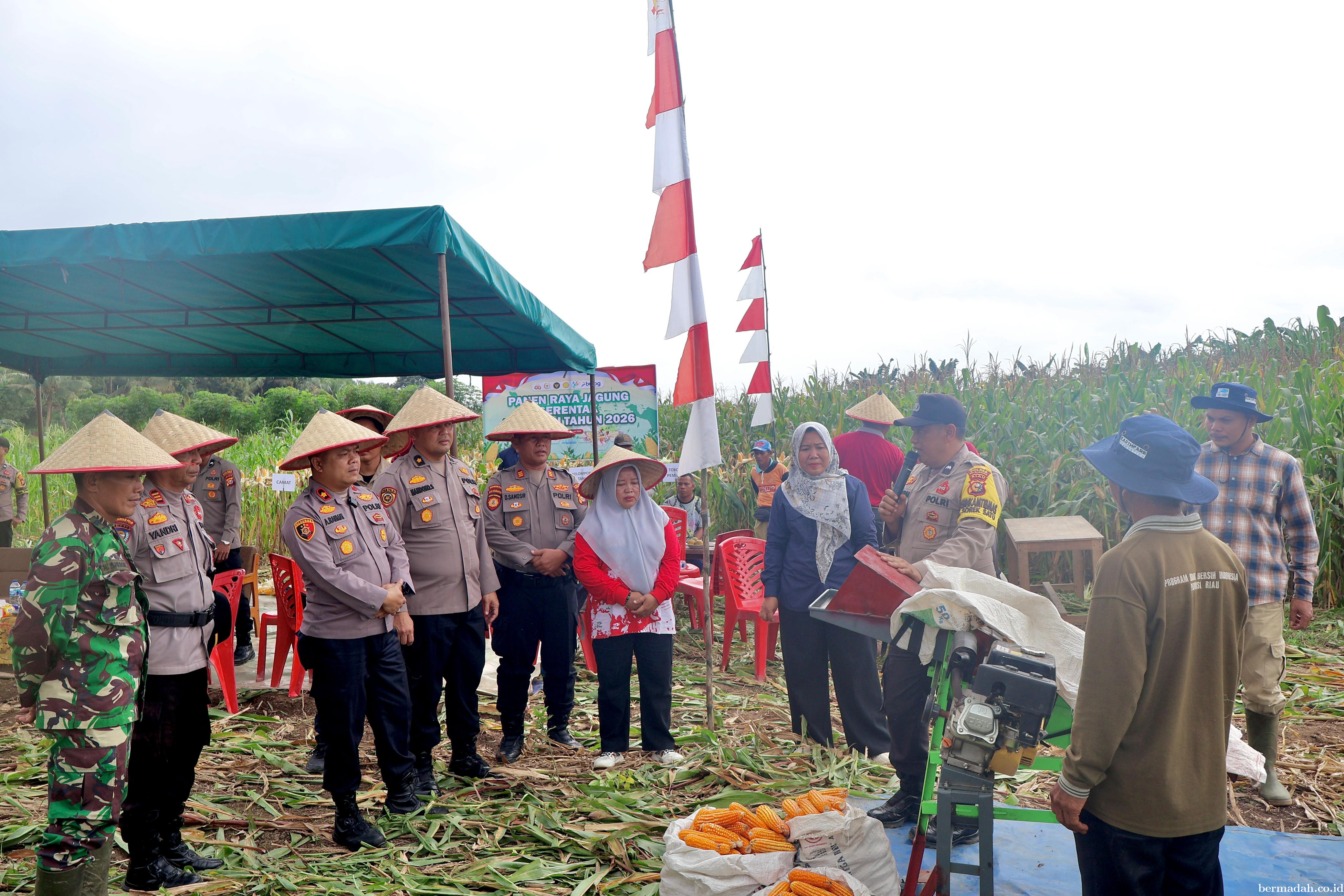 Polres Pelalawan Panen Jagung