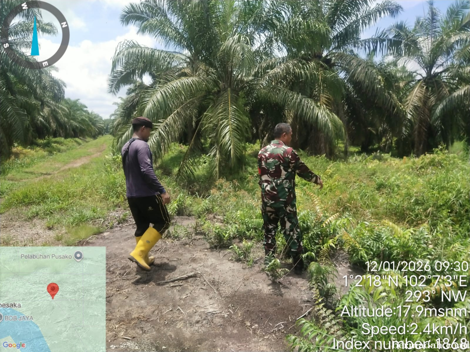 Penanggulangan Karhutla di Wilayah Koramil 02/Sungai Apit Senin 12 Januari