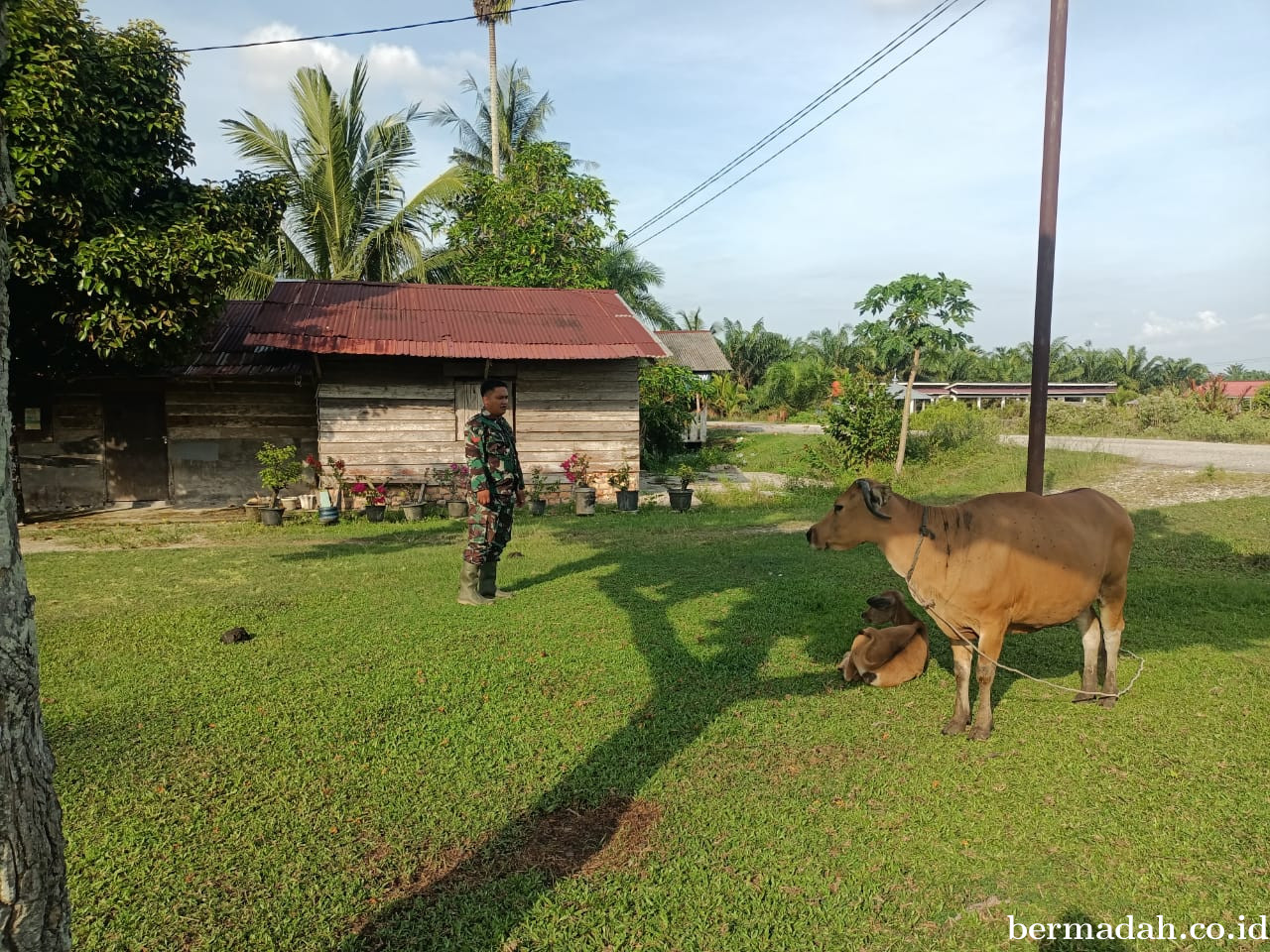 Kamis 15 Januari, Pendampingan Penyemprotan Disinsfektan PMK URC Ternak di Kampung Dusun Pusaka