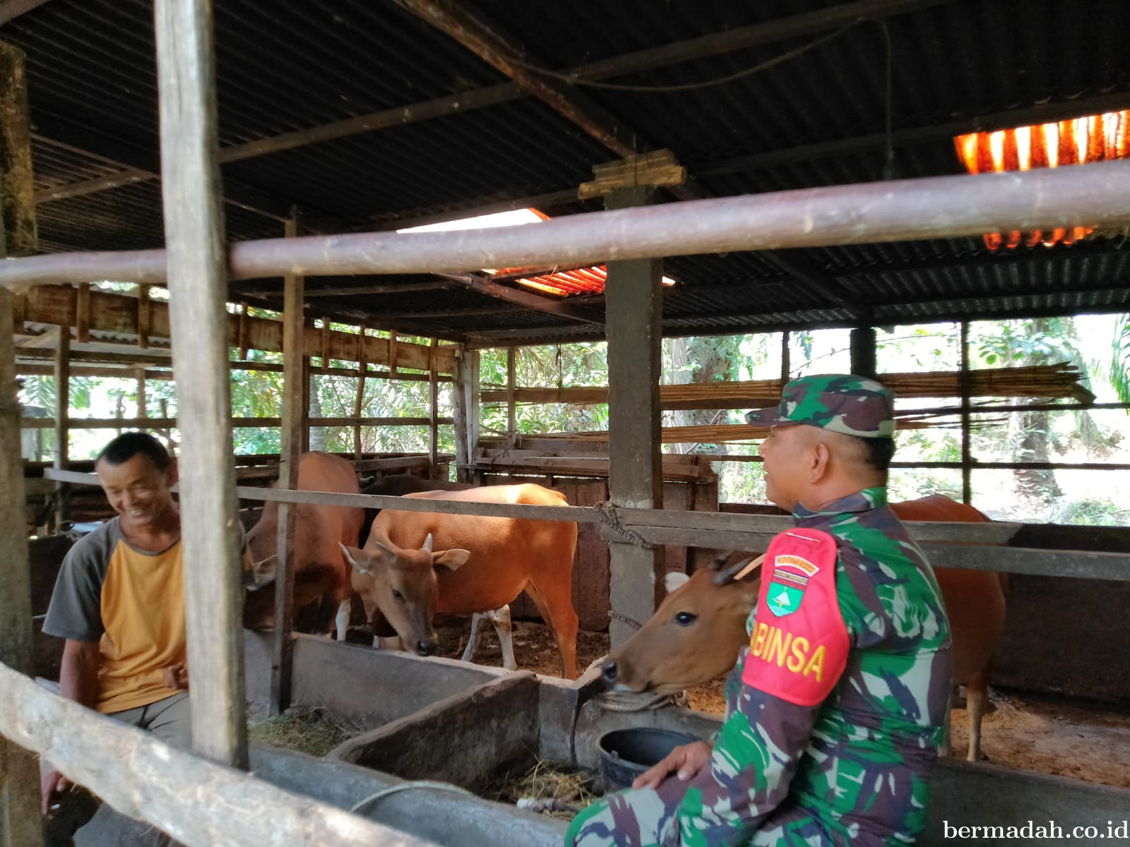 Senin 26 Januari,bPendampingan Penyemprotan Disinsfektan PMK URC Ternak di Kampung Lalang