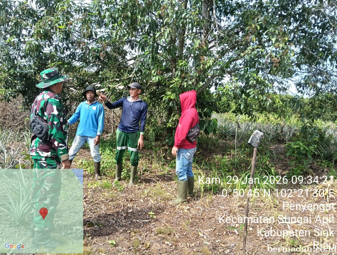 Penanggulangan Karhutla di Wilayah Koramil 02/Sungai Apit, Kamis 29 Januari