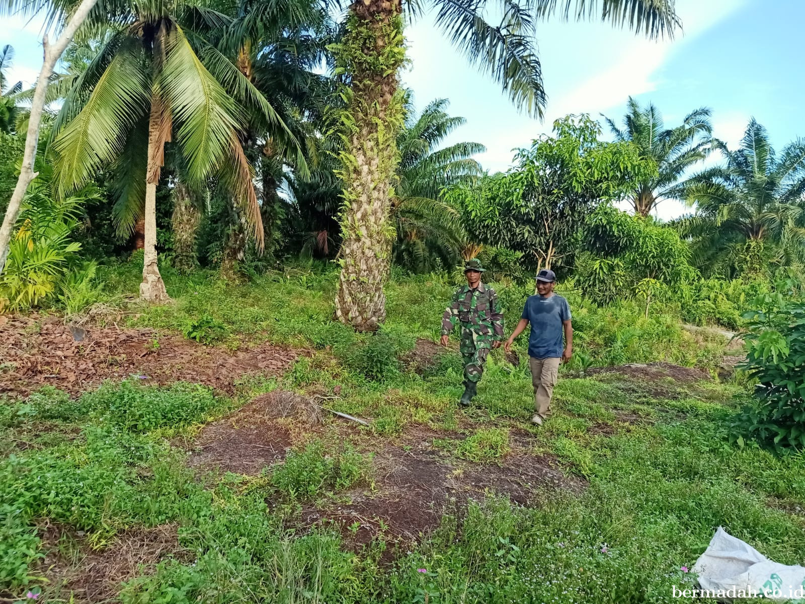 Penanggulangan Karhutla di Wilayah Koramil 02/Sungai Apit, Senin 2 Februari