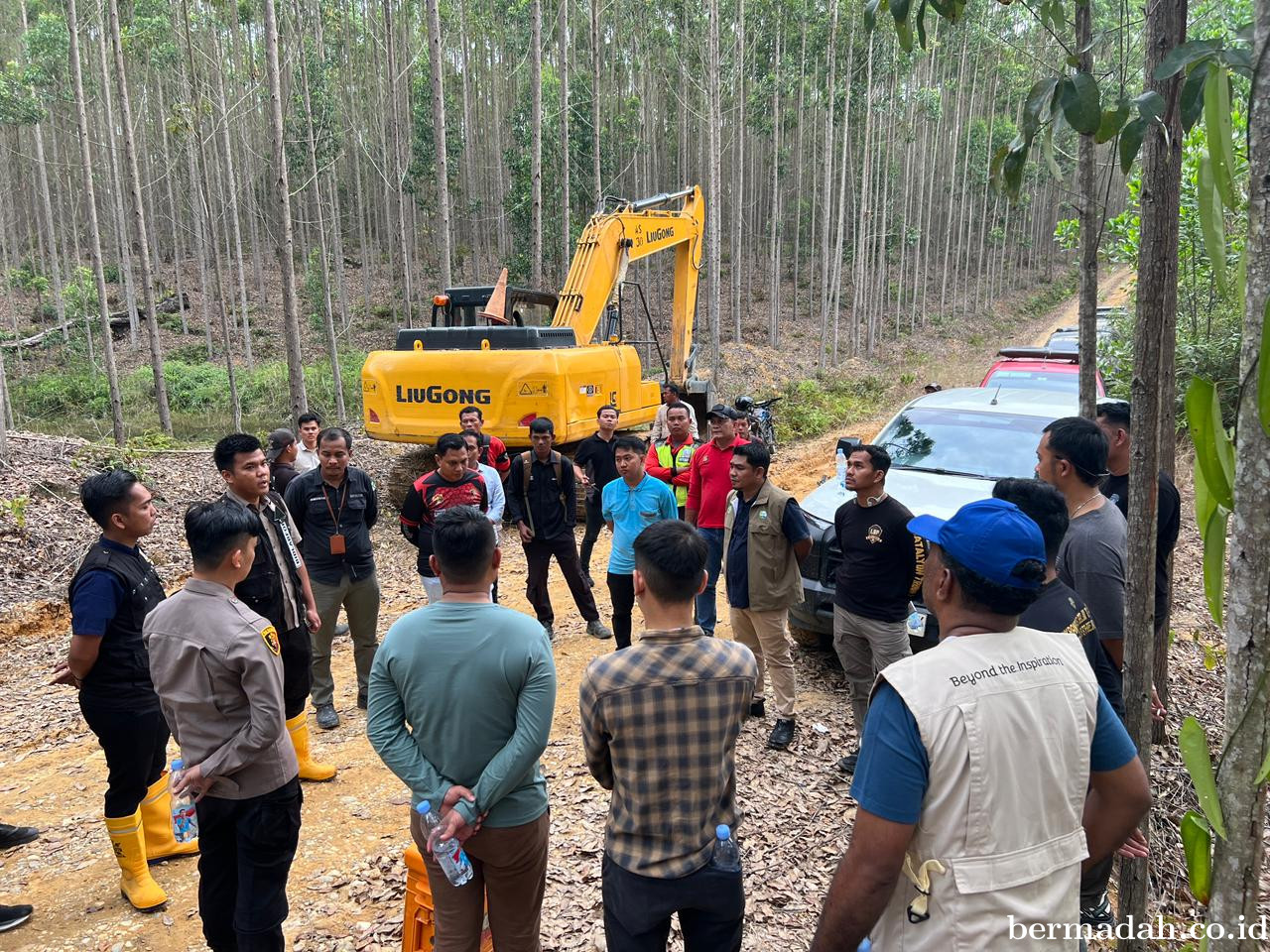 Polisi Selidiki Penyebab Gajah Mati di Pelalawan