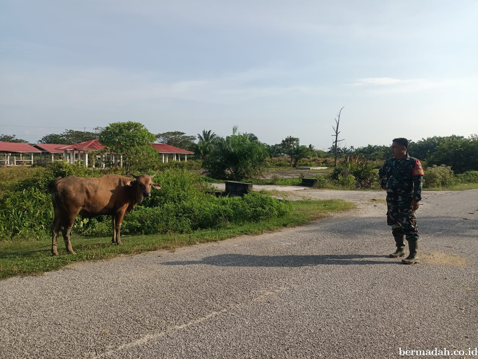 Jumat 6 Februari, Pendampingan Penyemprotan Disinsfektan PMK URC Ternak di Kampung Dusun Pusaka