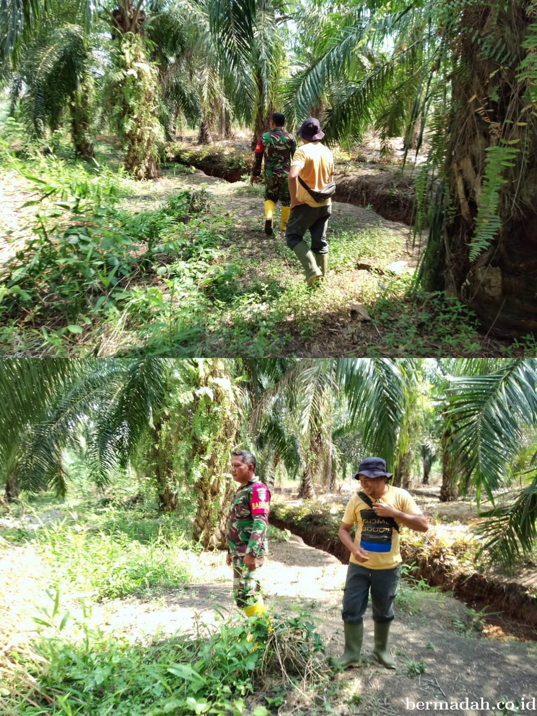 Penanggulangan Karhutla di Wilayah Koramil 02/Sungai Apit, Selasa 10 Februari