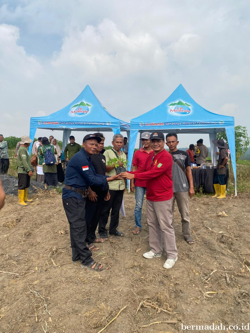 Poktan AMS Lakukan Penanaman Bibit Jagung