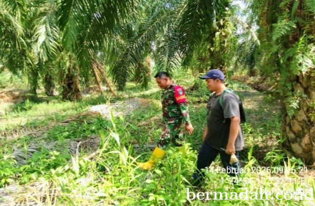 Penanggulangan Karhutla di Wilayah Koramil 02/Sungai Apit, Sabtu 14 Februari