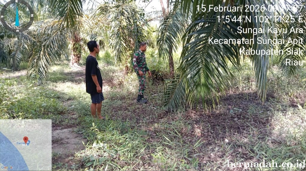 Penanggulangan Karhutla di Wilayah Koramil 02/Sungai Apit, Minggu 15 Februari