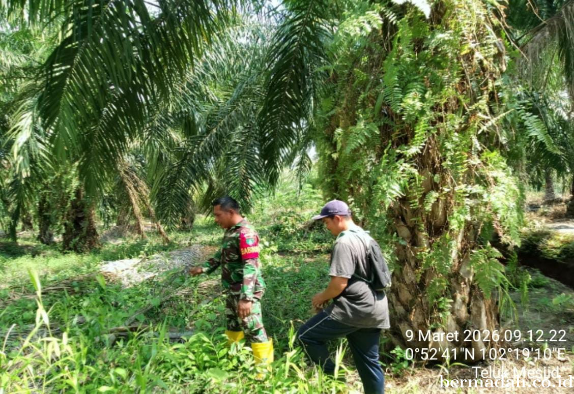 Penanggulangan Karhutla di Wilayah Koramil 02/Sungai Apit Senin 9 Maret