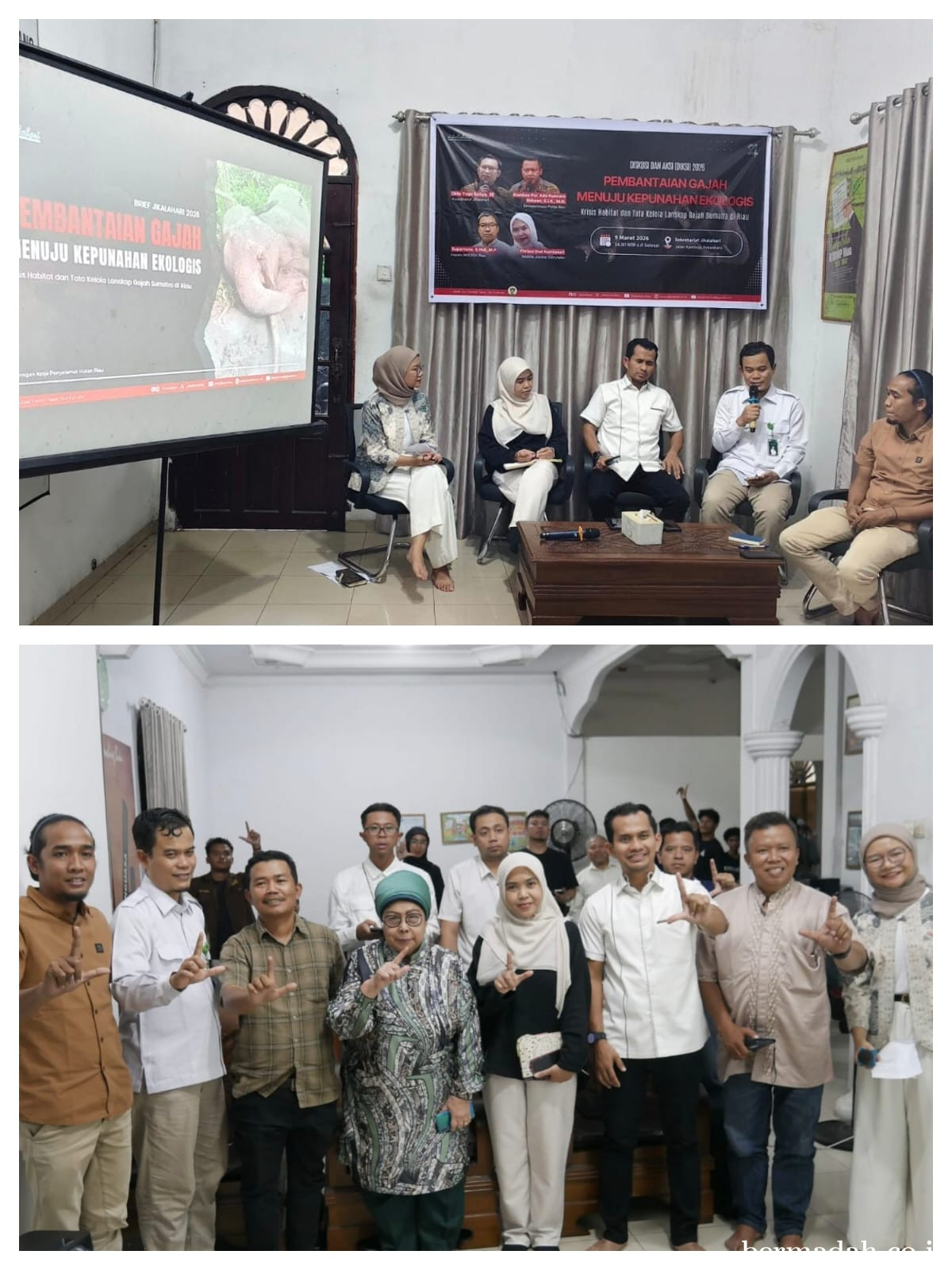 Alarm Kepunahan Gajah Sumatera Menggema dari Pekanbaru