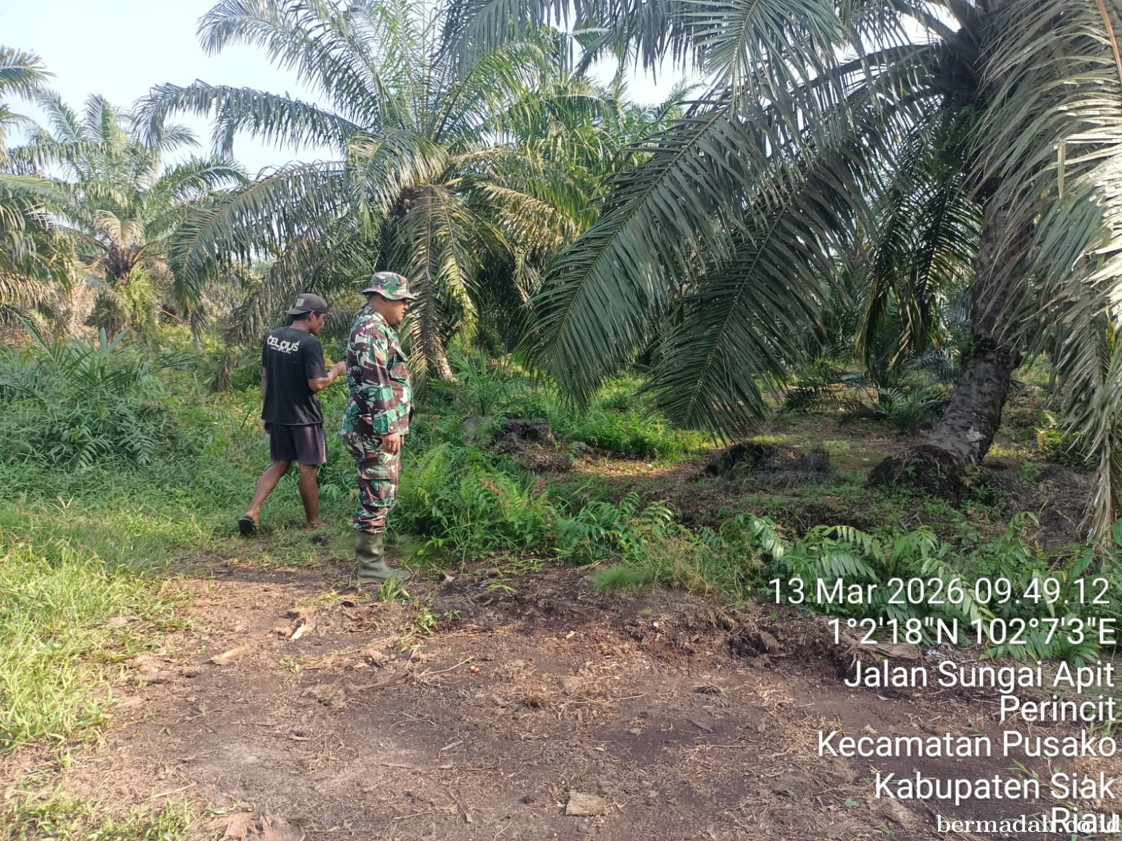 Penanggulangan Karhutla di Wilayah Koramil 02/Sungai Apit Jumat 13 Maret