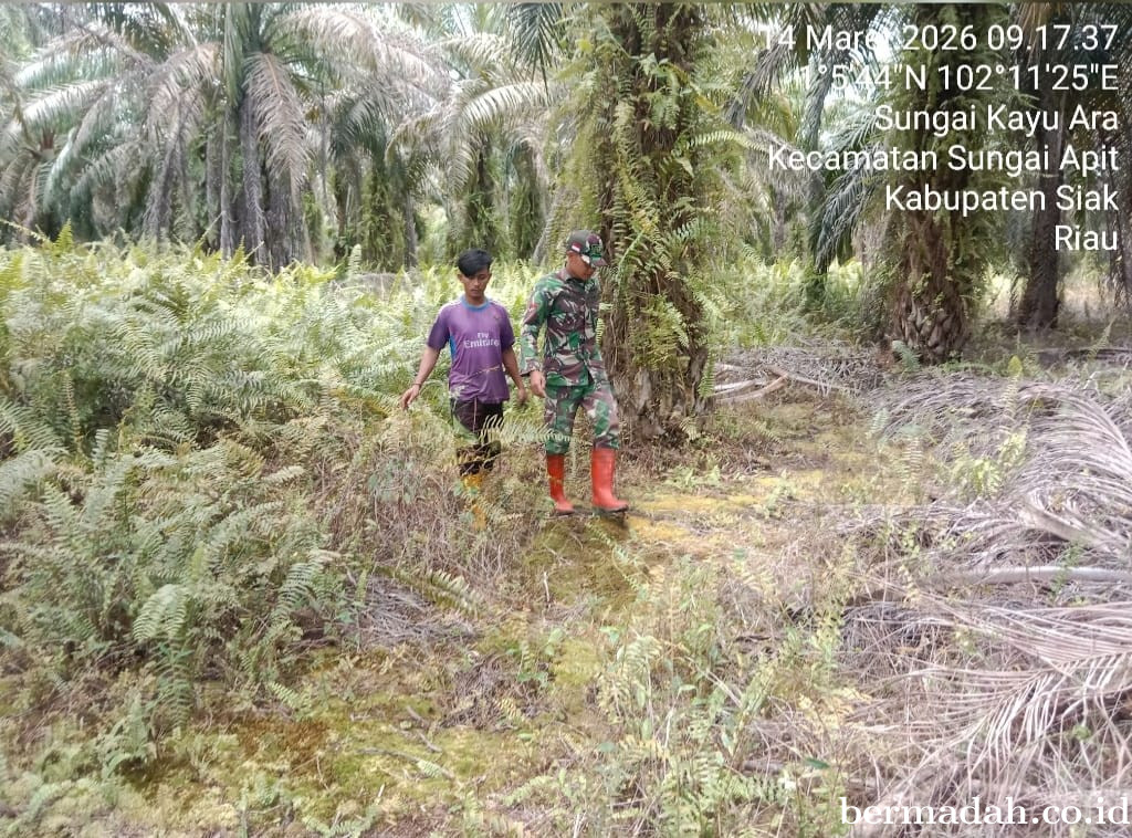 Penanggulangan Karhutla di Wilayah Koramil 02/Sungai Apit, Sabtu 14 Maret
