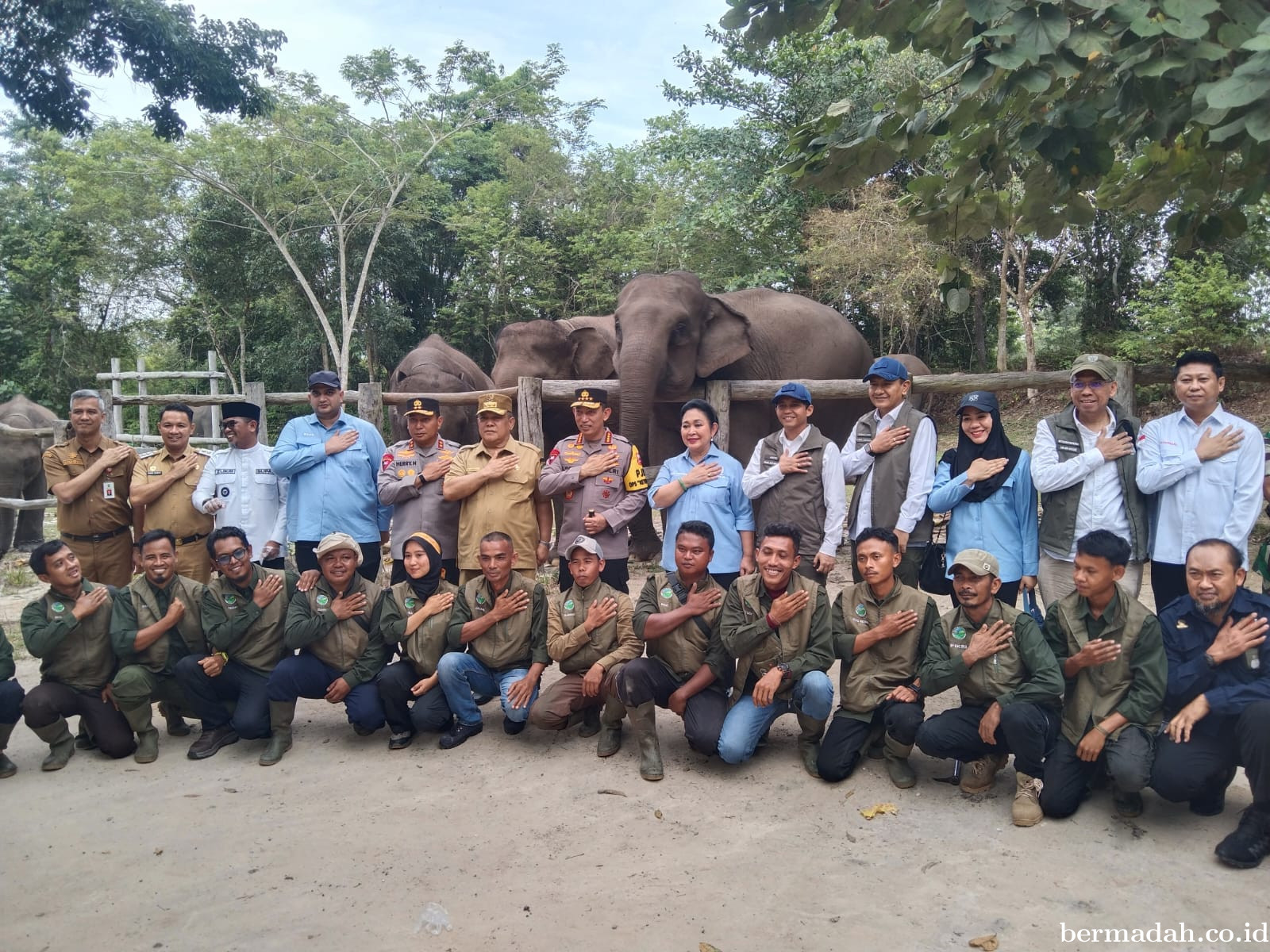Selamatkan Tesso Nilo, Negara Hadir Lindungi Gajah Sumatera