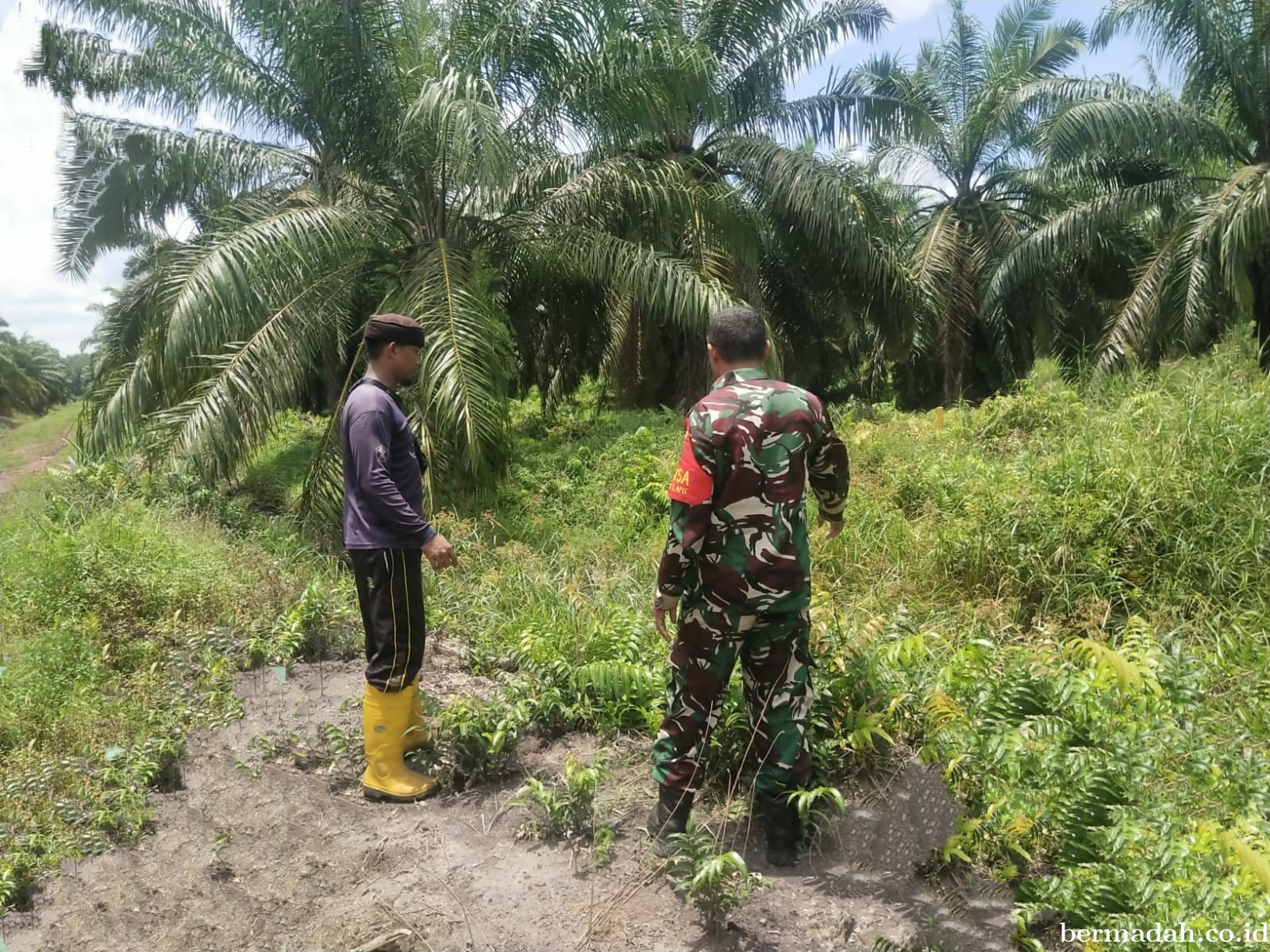 Penanggulangan Karhutla di Wilayah Koramil 02/Sungai Apit Minggu 22 Maret
