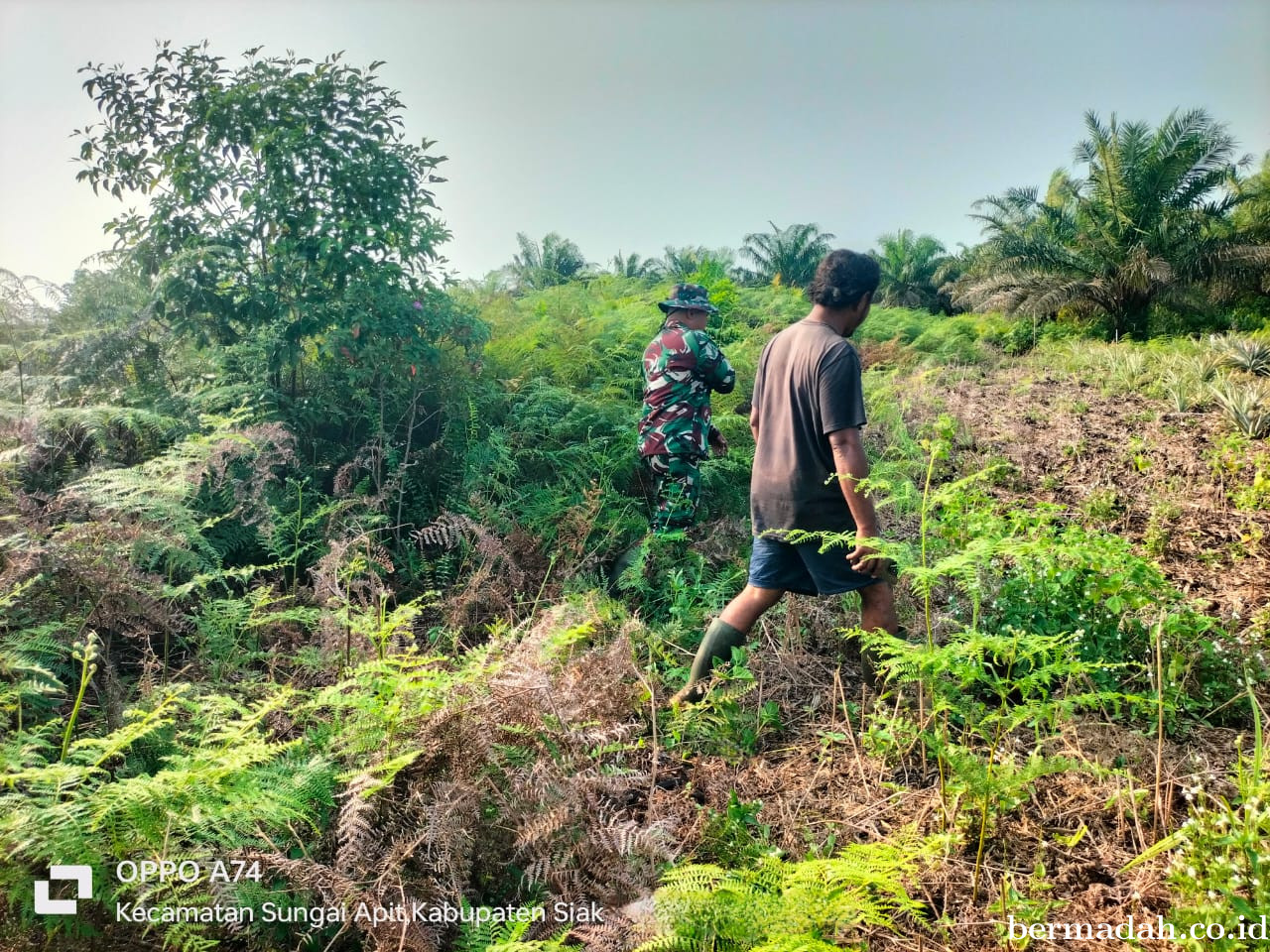 Penanggulangan Karhutla di Wilayah Koramil 02/Sungai Apit, Selasa 24 Maret