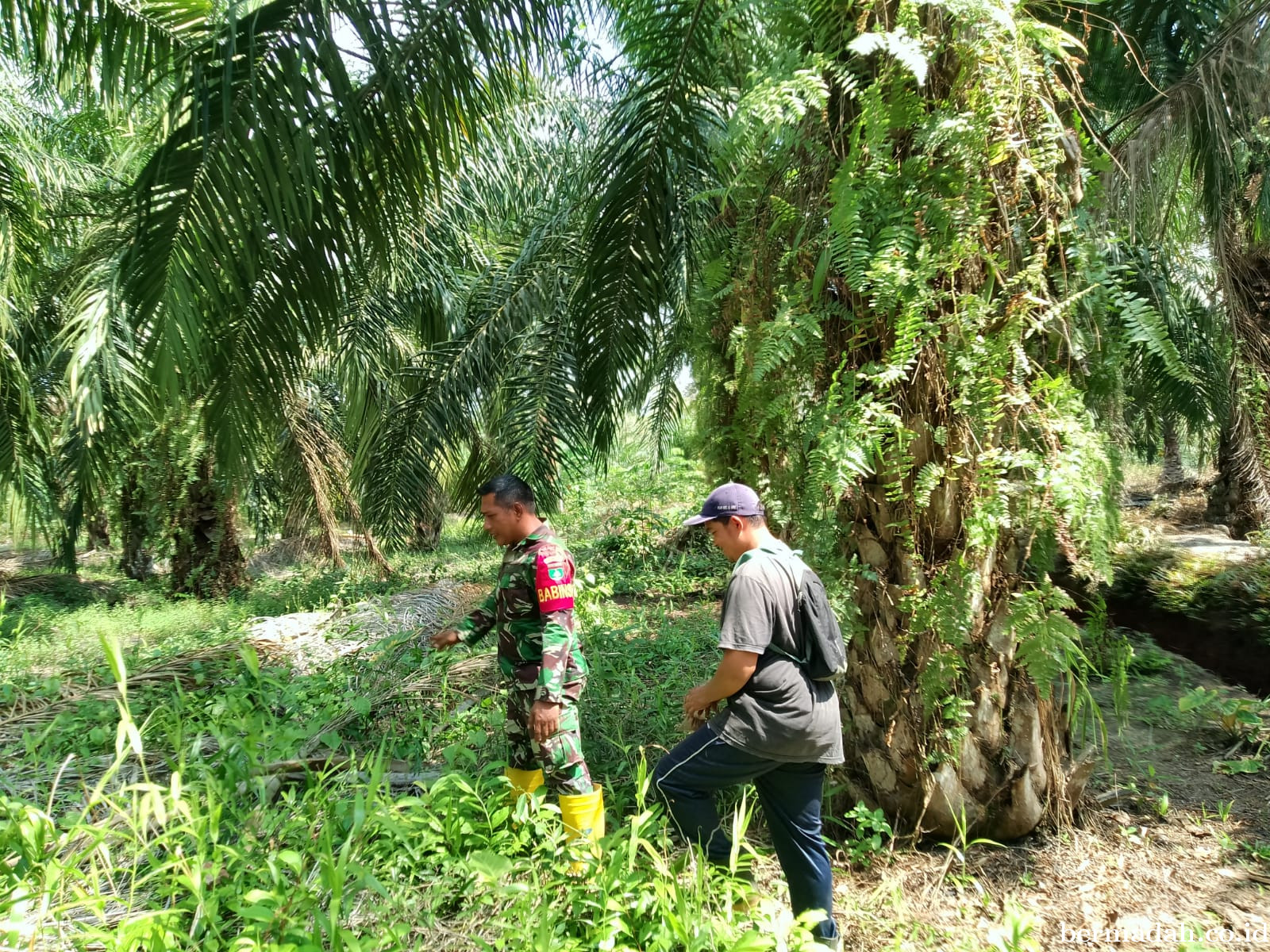 Penanggulangan Karhutla di Wilayah Koramil 02/Sungai Apit, Rabu 25 Maret