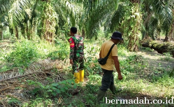 Penanggulangan Karhutla di Wilayah Koramil 02/Sungai Apit, Minggu 29 Maret