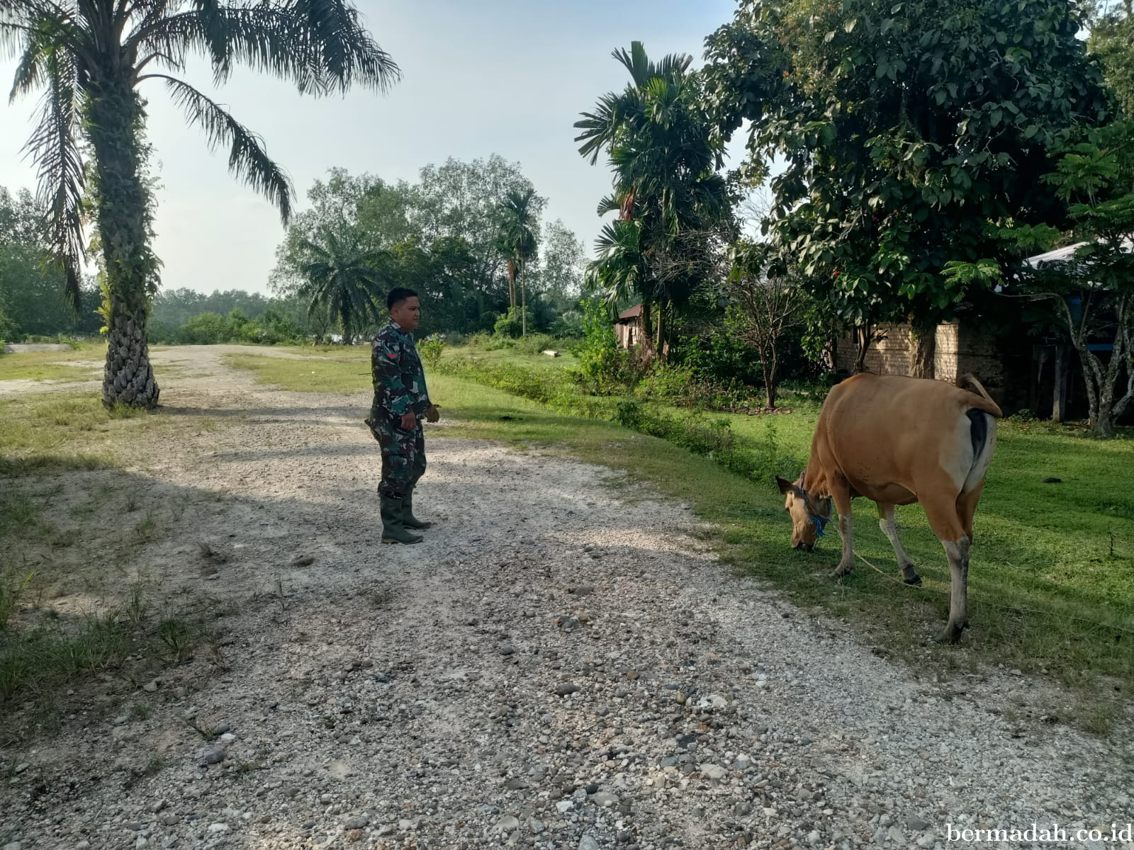 Senin 30 Maret, Pendampingan Penyemprotan Disinsfektan PMK URC Ternak di Kampung Dusun Pusaka