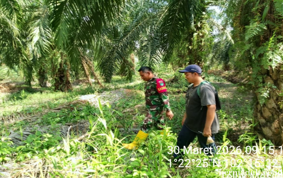 Penanggulangan Karhutla di Wilayah Koramil 02/Sungai Apit, Seninn30 Maret