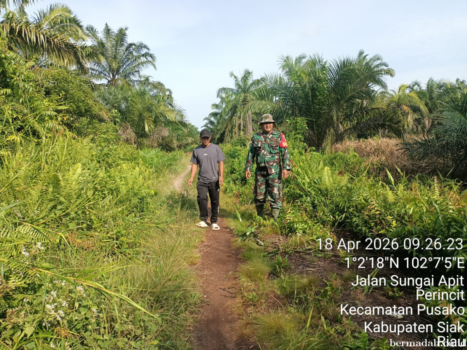 Penanggulangan Karhutla di Wilayah Koramil 02/Sungai Apit, Sabtu 18 April