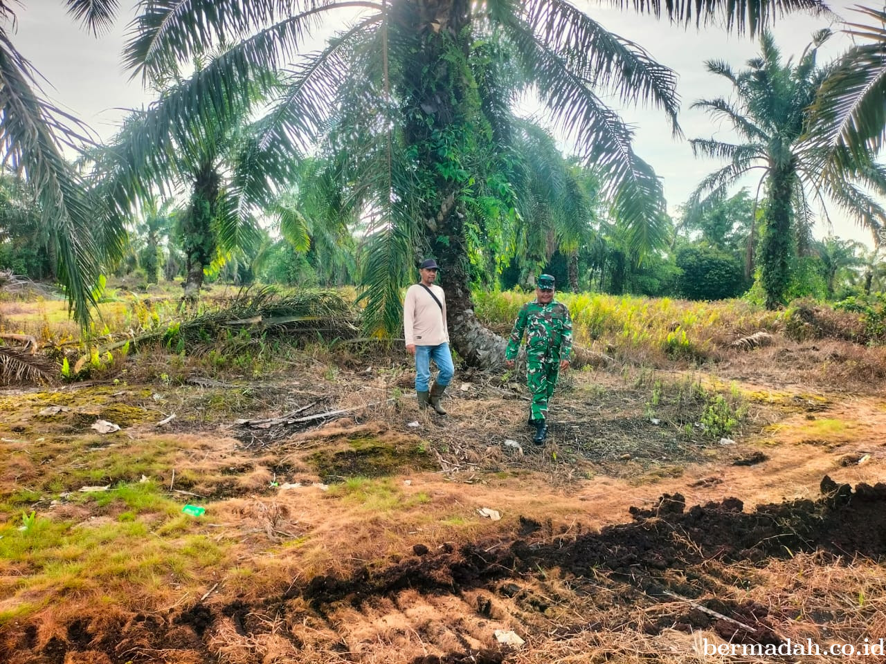 Penanggulangan Karhutla di Wilayah Koramil 02/Sungai Apit, Selasa 5 Mei