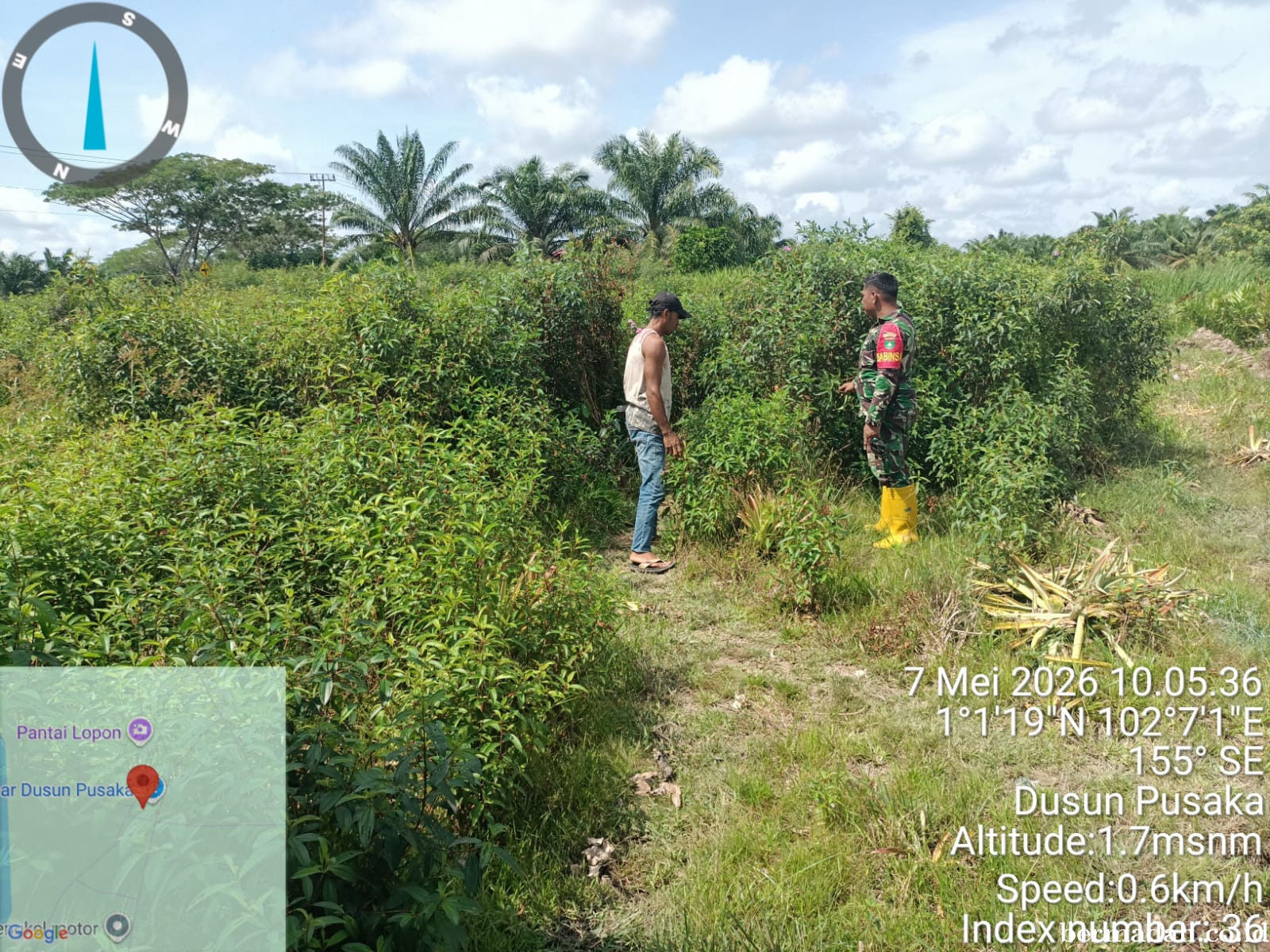 Penanggulangan Karhutla di Wilayah Koramil 02/Sungai Apit, Kamis tanggal 7 Mei