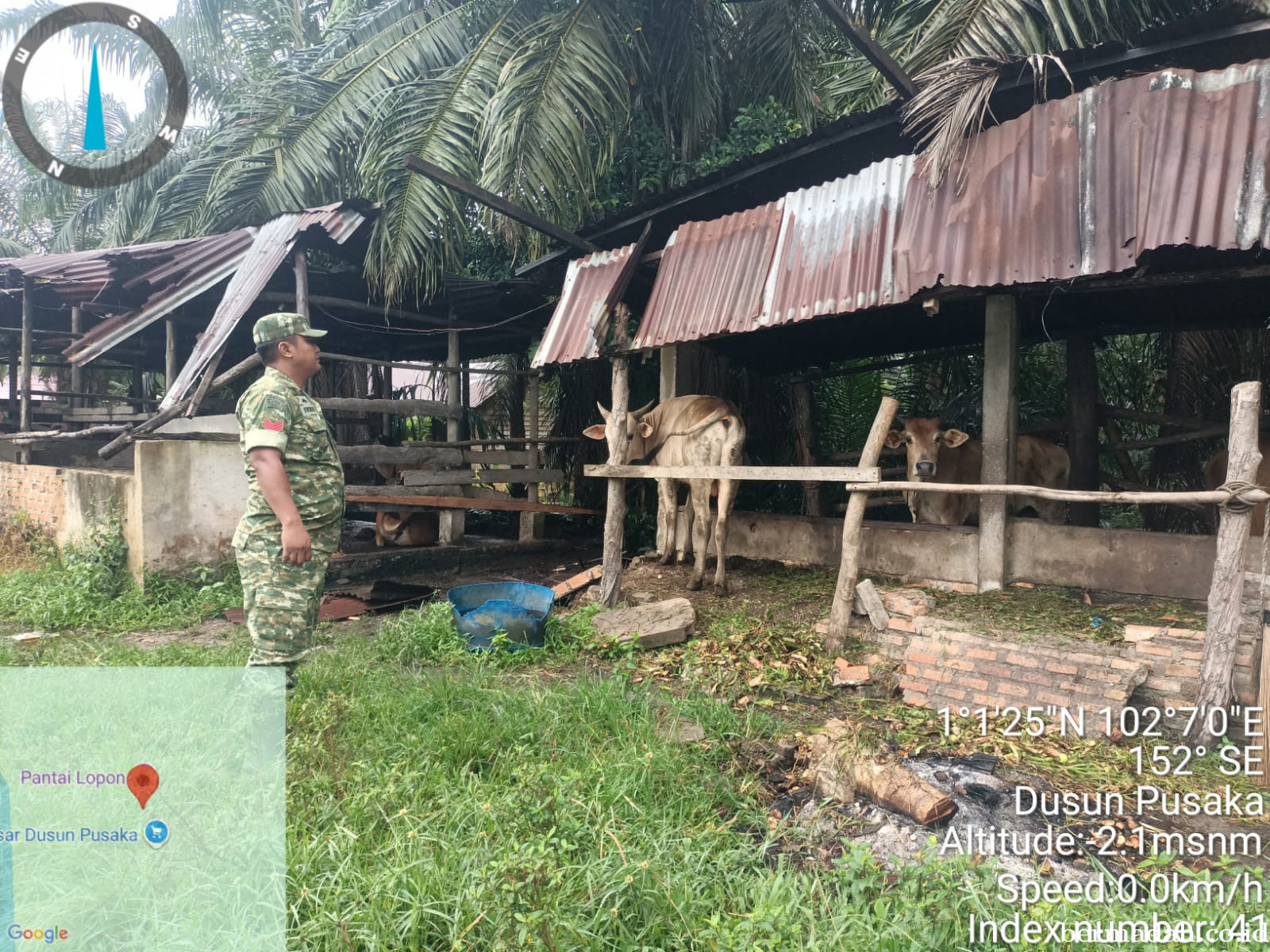 Jumat 8 Mei, Pendampingan Penyemprotan Disinsfektan PMK URC Ternak di Kampung Dusun Pusaka