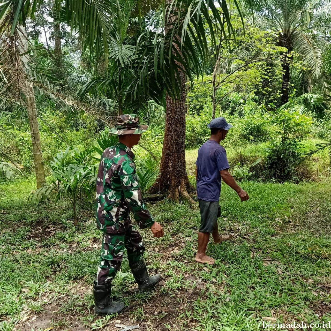 Penanggulangan Karhutla di Wilayah Koramil 02/Sungai Apit, Sabtu 16 Mei