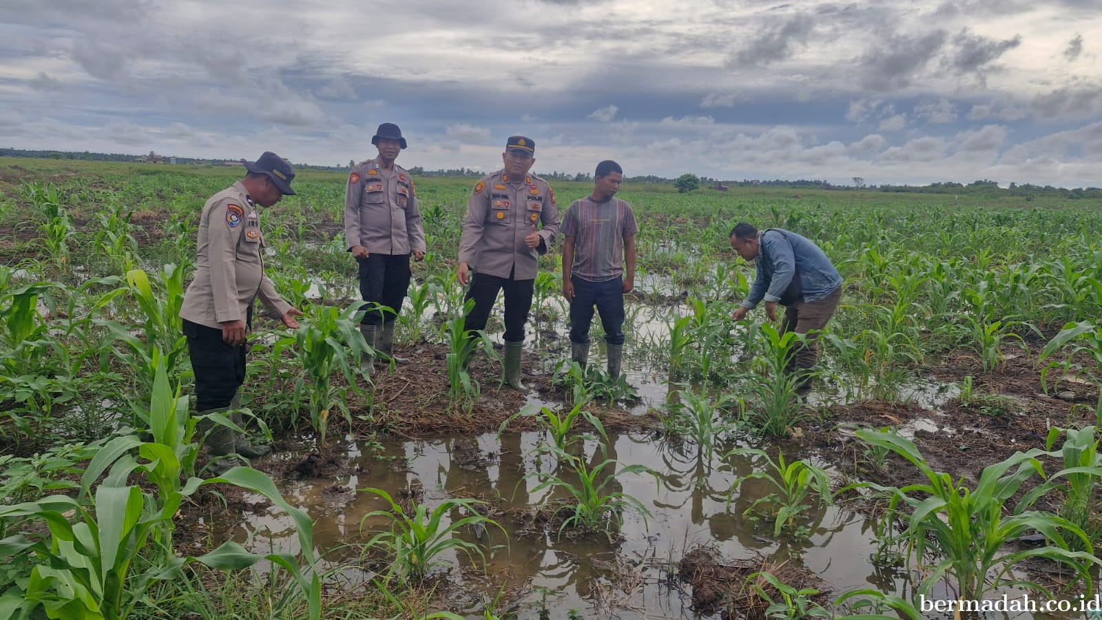 Kapolsek Kuala Kampar Turun Langsung Pantau Jagung 15 Hektar di Sungai Solok