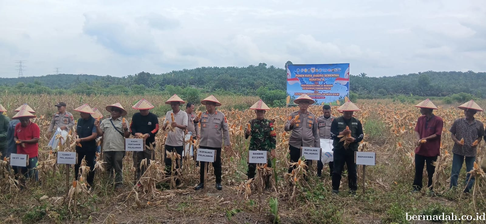 Kapolsek Teluk Meranti Hadiri Panen Raya Jagung Serentak Kuartal II di Desa Betung