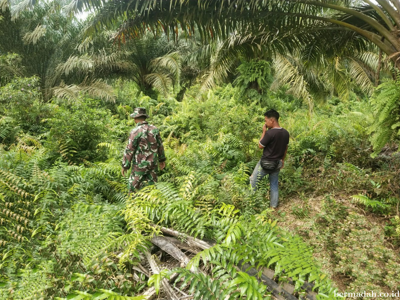 Penanggulangan Karhutla di Wilayah Koramil 02/Sungai Apit Minggu 17 Mei
