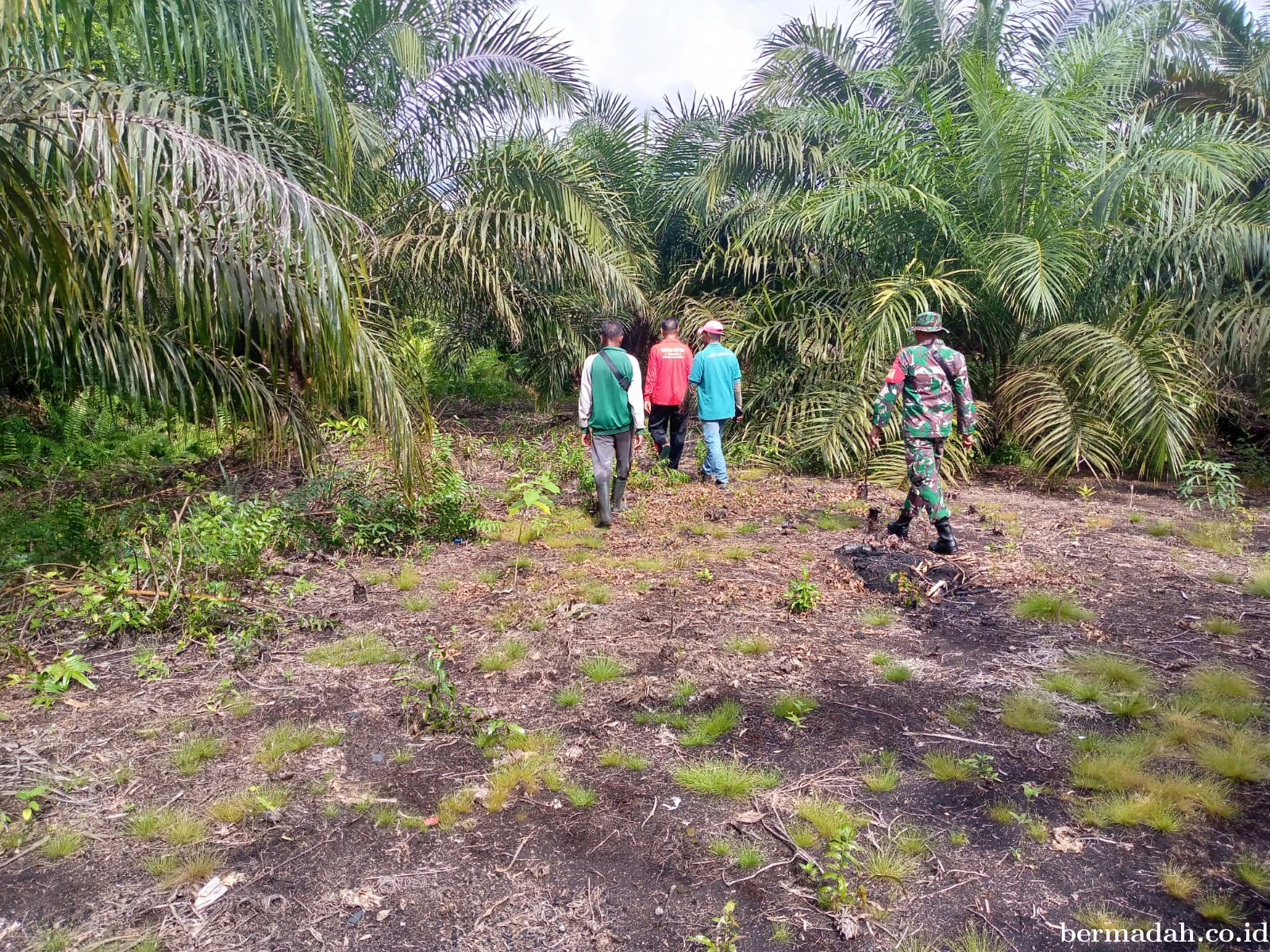 Penanggulangan Karhutla di Wilayah Koramil 02/Sungai Apit, Selasa 19 Mei