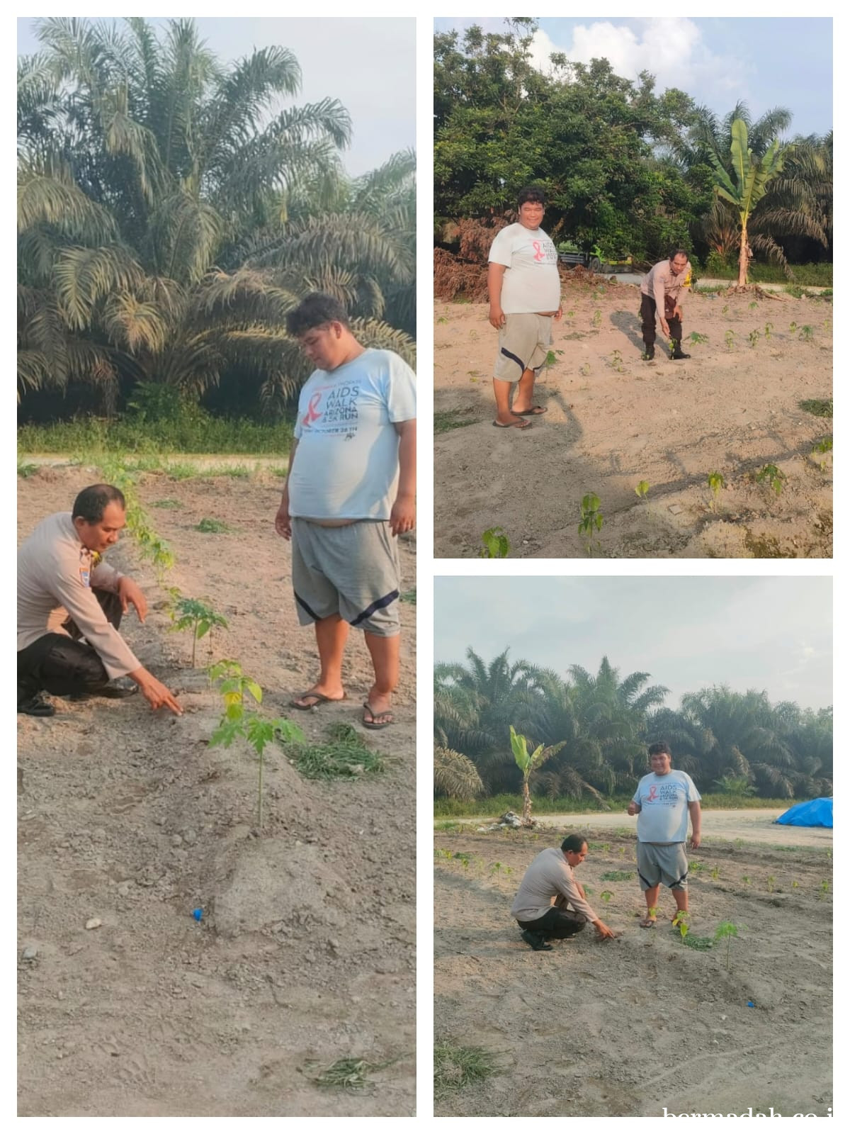 Bhabinkamtibmas Desa Sotol Aktif Kawal Program Ketahanan Pangan