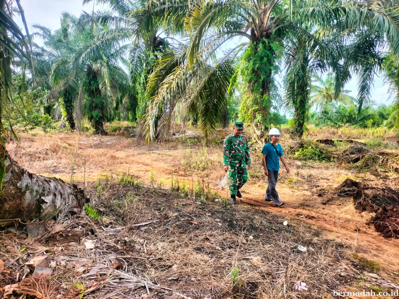 Penanggulangan Karhutla di Wilayah Koramil 02/Sungai Apit, Senin 1 Juni 
