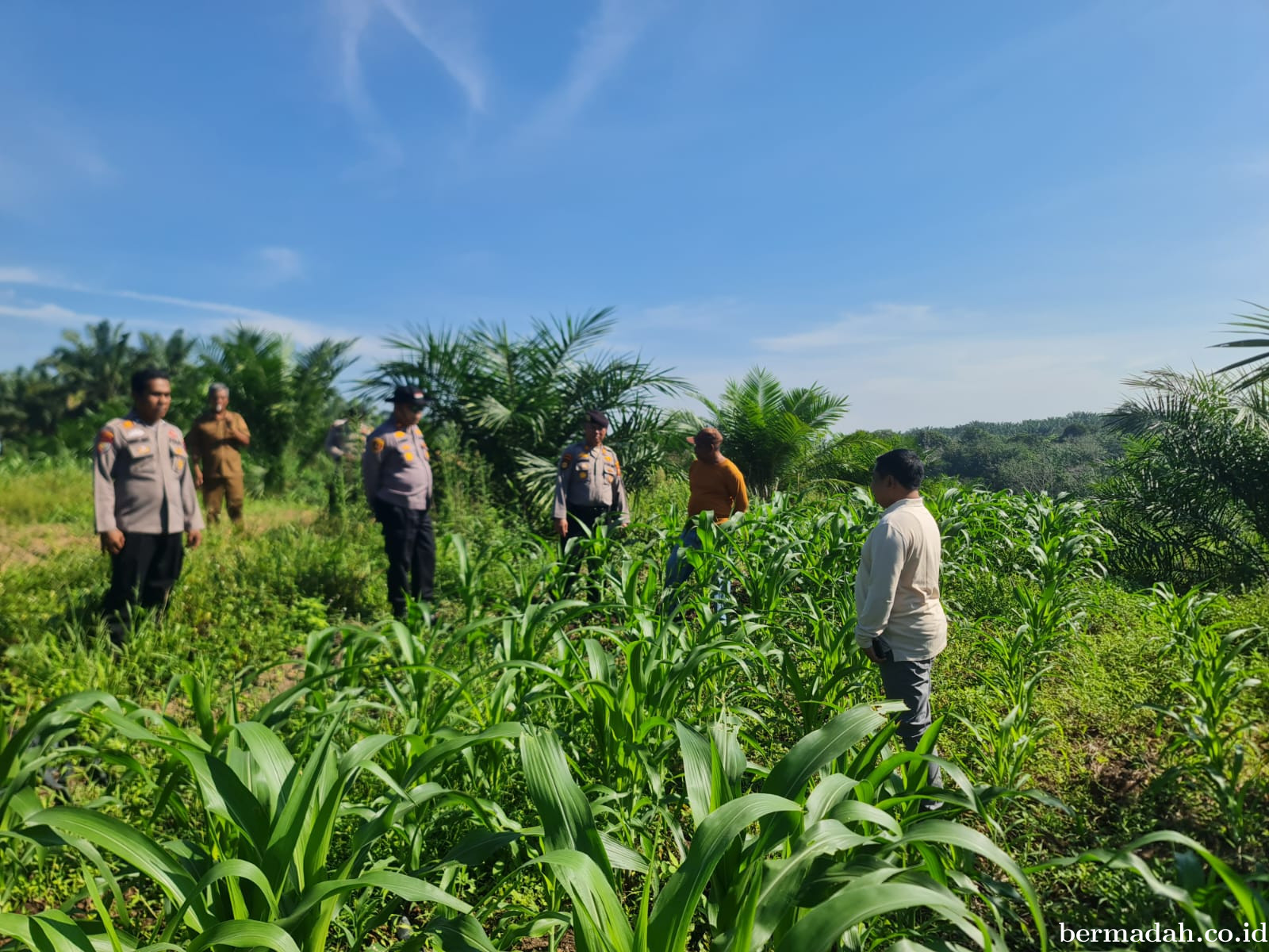 Wakapolres Pelalawan Tinjau 40 Hektare Jagung