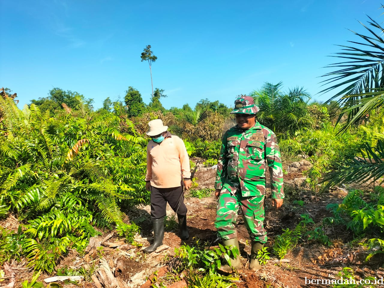 Penanggulangan Karhutla di Wilayah Koramil 02/Sungai Apit, Minggu 7 Juni