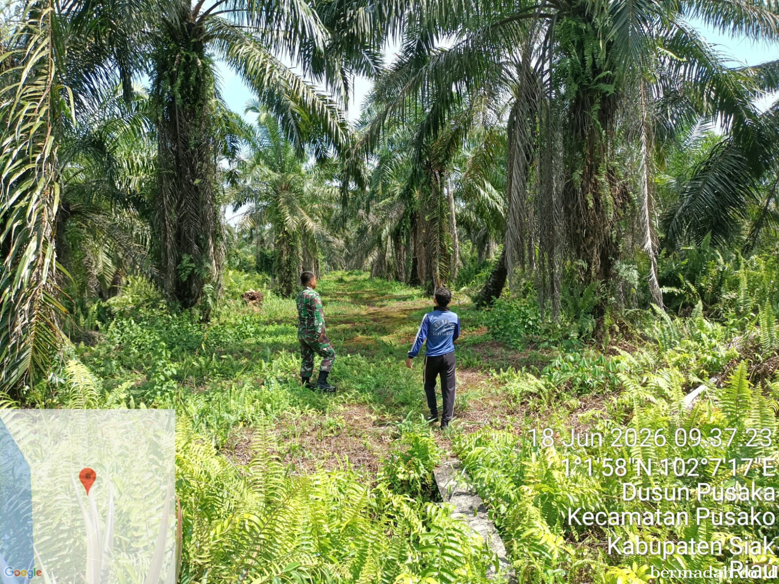 Penanggulangan Karhutla di Wilayah Koramil 02/Sungai Apit, Kamis18 Juni