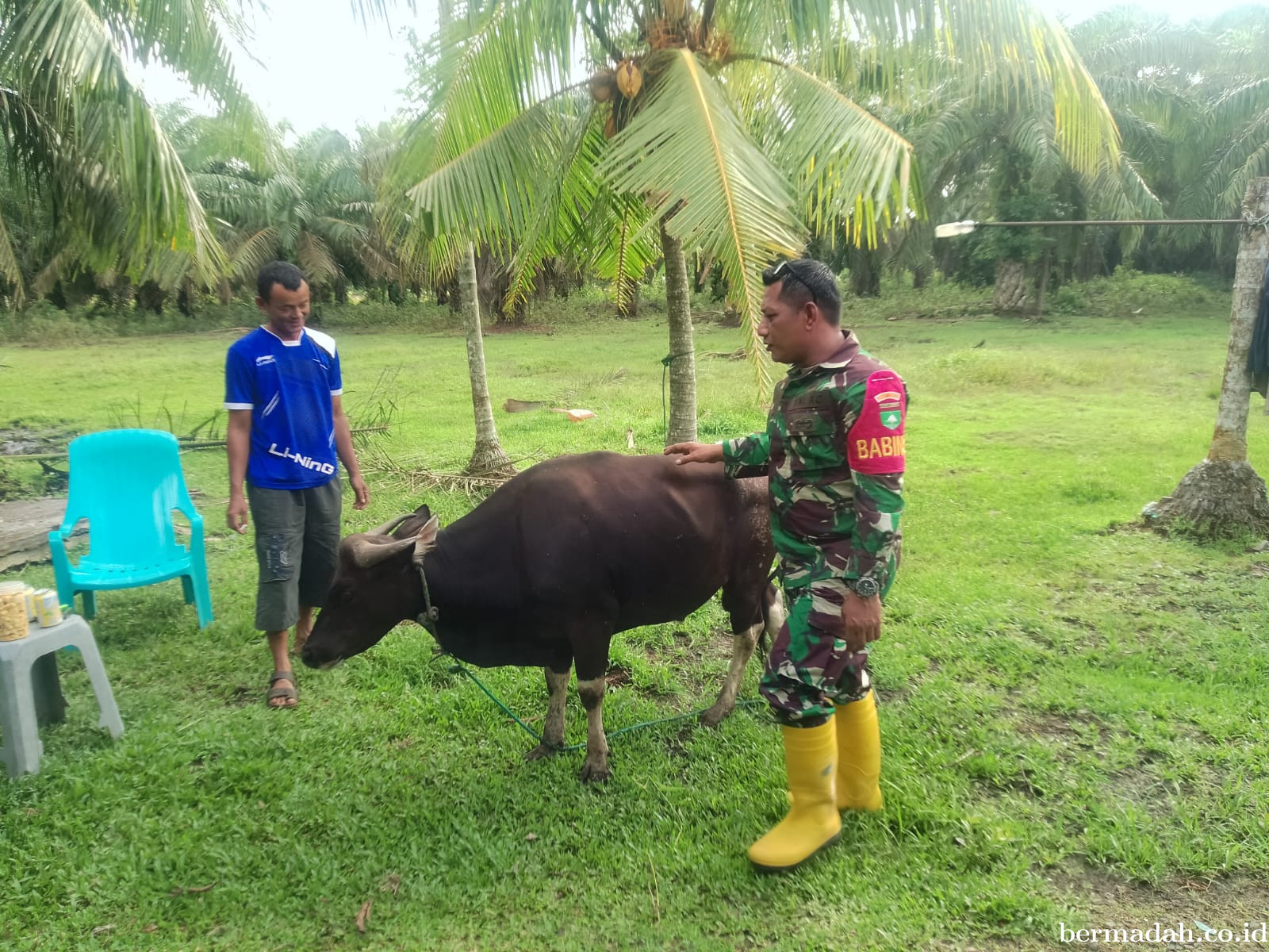 Jumat 19 Juni, Pendampingan Penyemprotan Disinsfektan PMK URC Ternak di Kampung Teluk Mesjid