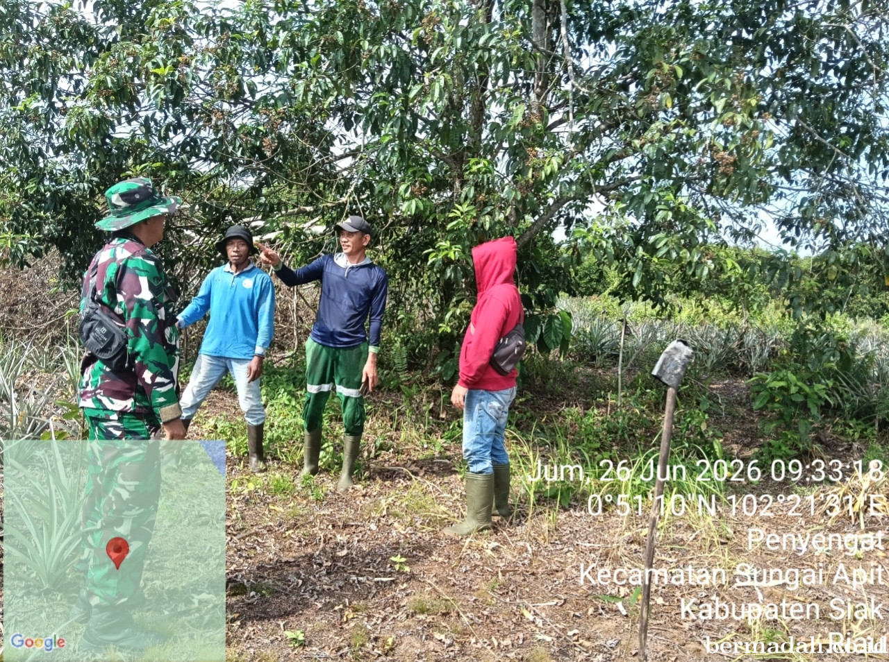 Penanggulangan Karhutla di Wilayah Koramil 02/Sungai Apit, Jumat 26 Juni