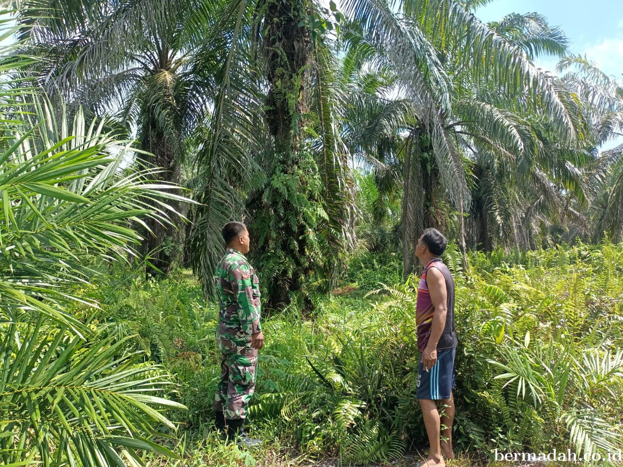 Penanggulangan Karhutla di Wilayah Koramil 02/Sungai Apit Minggu 28 Juni