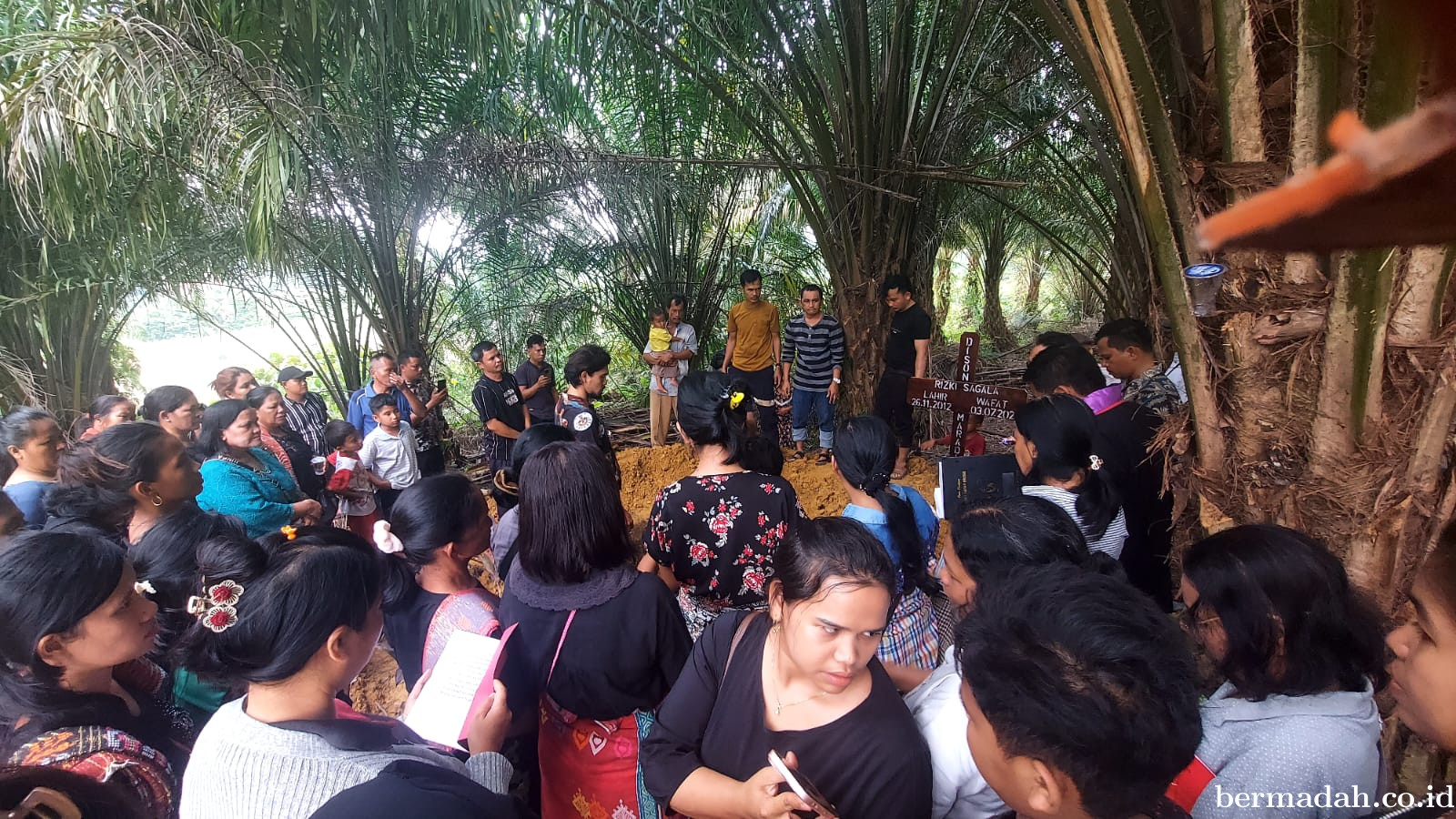 Dua Anak Meninggal Dunia Disengat Tawon, Dua Lainnya Masih Dirawat