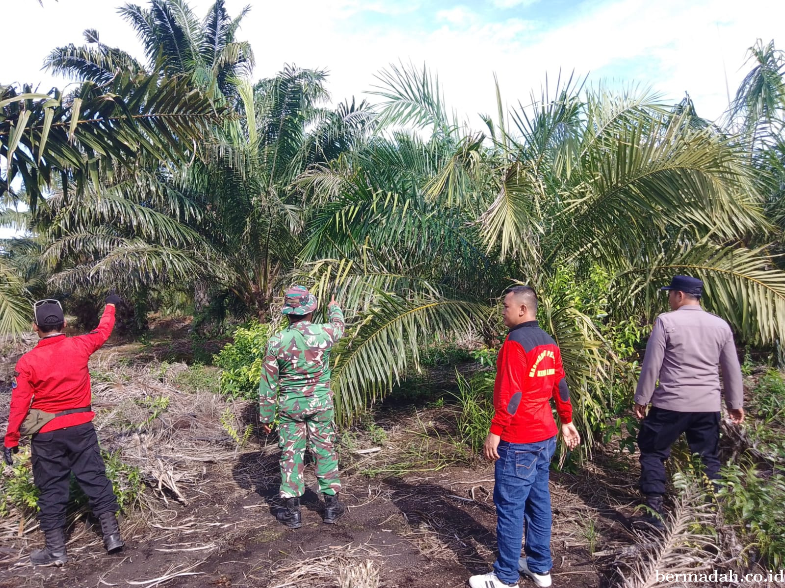 Penanggulangan Karhutla di Wilayah Koramil 02/Sungai Apit, Selasa 7 Juli