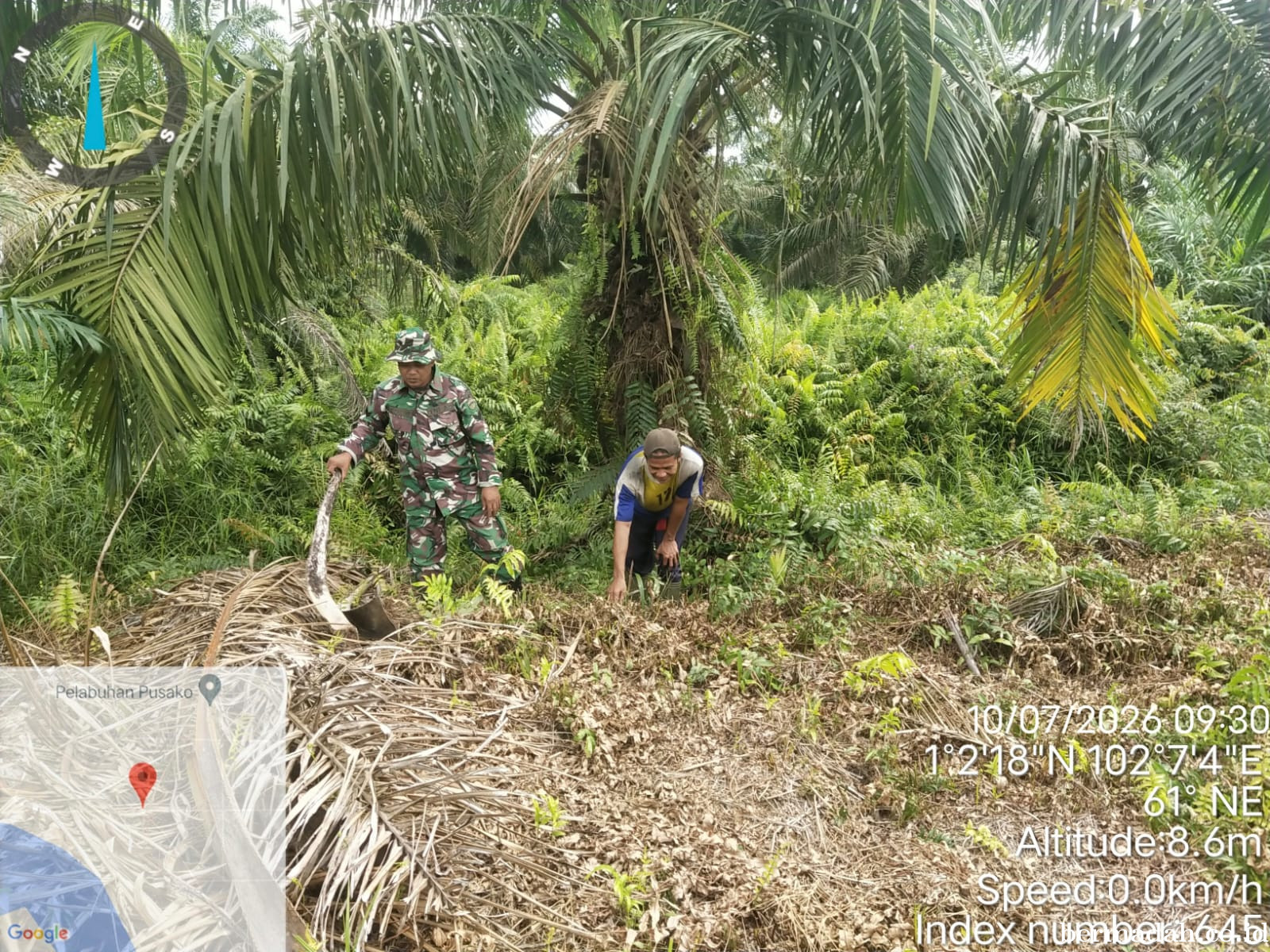 Penanggulangan Karhutla di Wilayah Koramil 02/Sungai Apit Kamis 9 Juli