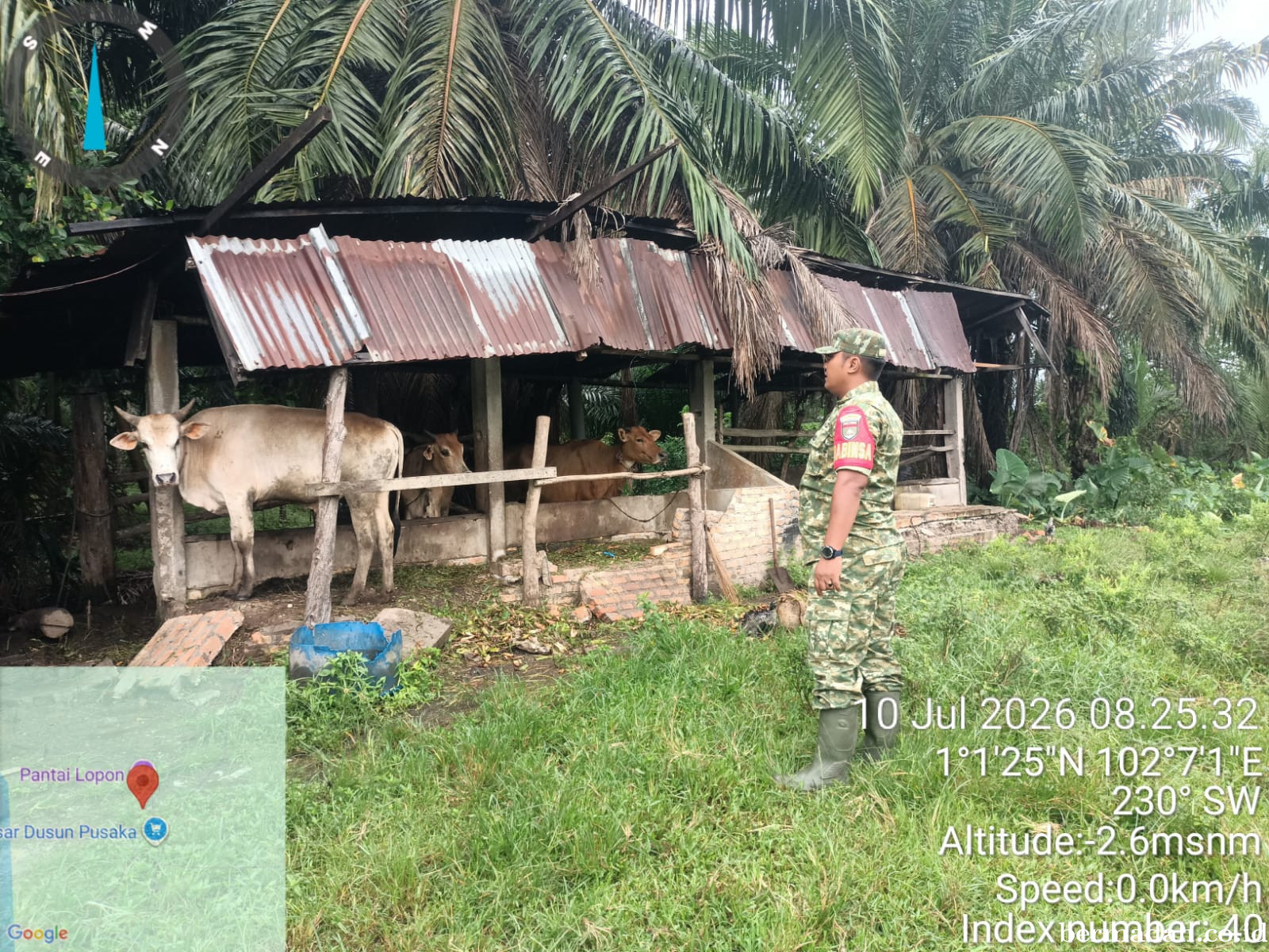 Kamis 10 Juli, Pendampingan Penyemprotan Disinsfektan PMK URC Ternak di Kampung Dusun Pusaka