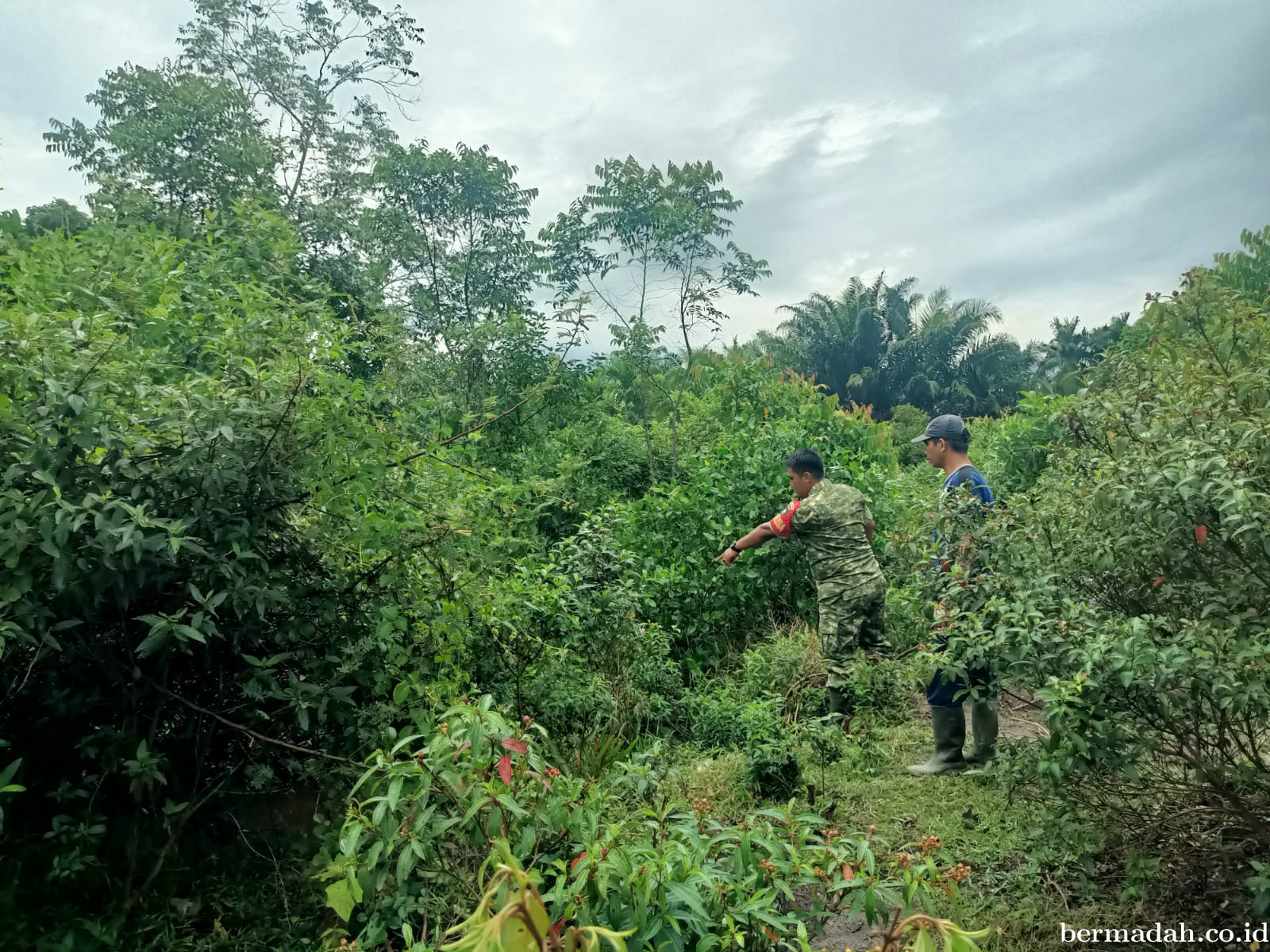 Penanggulangan Karhutla di Wilayah Koramil 02/Sungai Apit Jumat 10 Juli