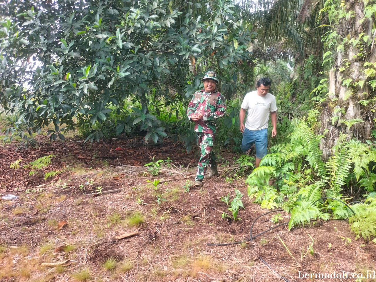 Penanggulangan Karhutla di Wilayah Koramil 02/Sungai Apit, Selasa13 Juli
