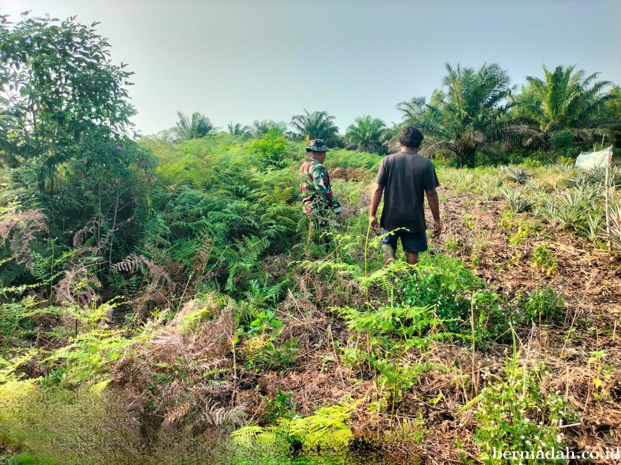 Penanggulangan Karhutla di Wilayah Koramil 02/Sungai Apit, Sabtu18 Juli
